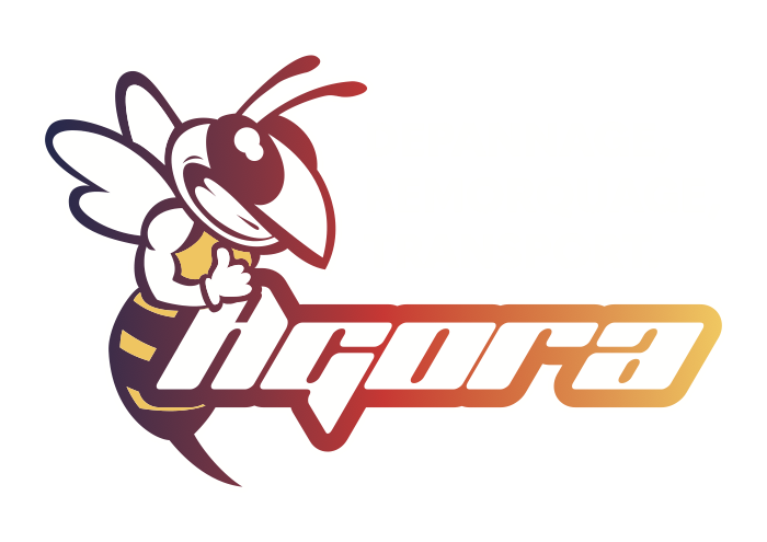 Agora Dépannage